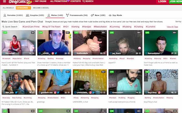 bongacams review