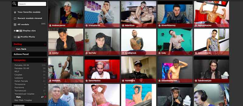 XLoveGay (XLoveCam Gay) Site Review